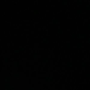 Meet your Posher, Wyatt